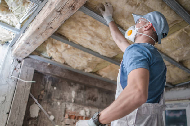 Best Insulation Materials and Products in Moss Point, MS