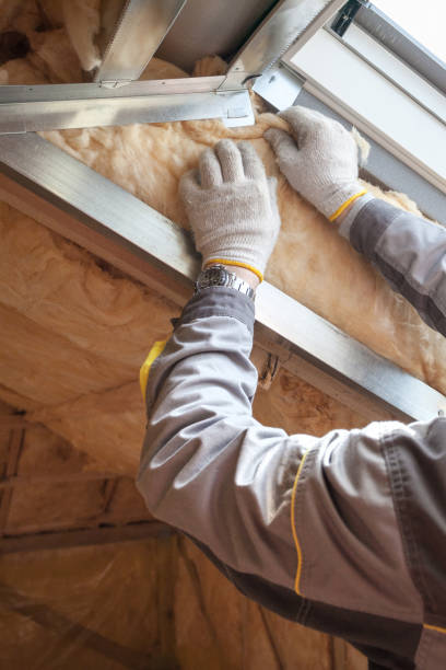 Best Types of Insulation in Moss Point, MS