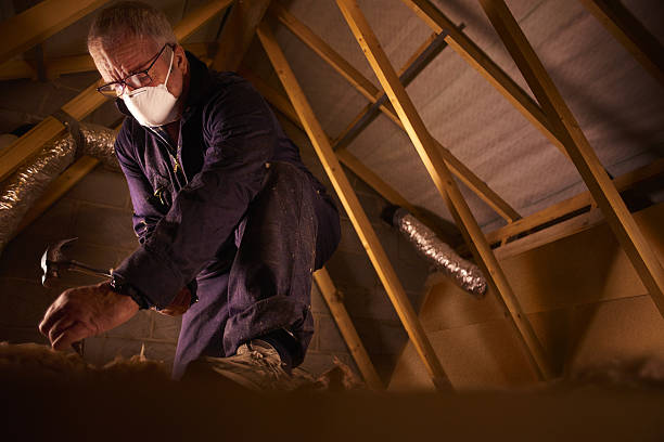 Best Residential Insulation in Moss Point, MS