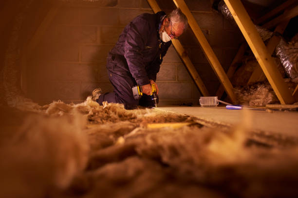 Best Insulation Maintenance and Repair in Moss Point, MS